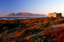 Culinary Tour South Africa- Delicious Expeditions