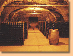 Culinary Tour Sovenia- Delicious Expeditions