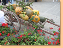 Culinary Tour Sovenia- Delicious Expeditions