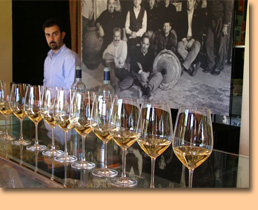 Cooking Tour, Venice, Italy - Delicious expeditons