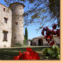 Delicious expeditions, Italy