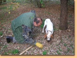 Cooking Tour, Umbria, Italy - Delicious expeditons