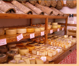 Delicious expeditions, Italy